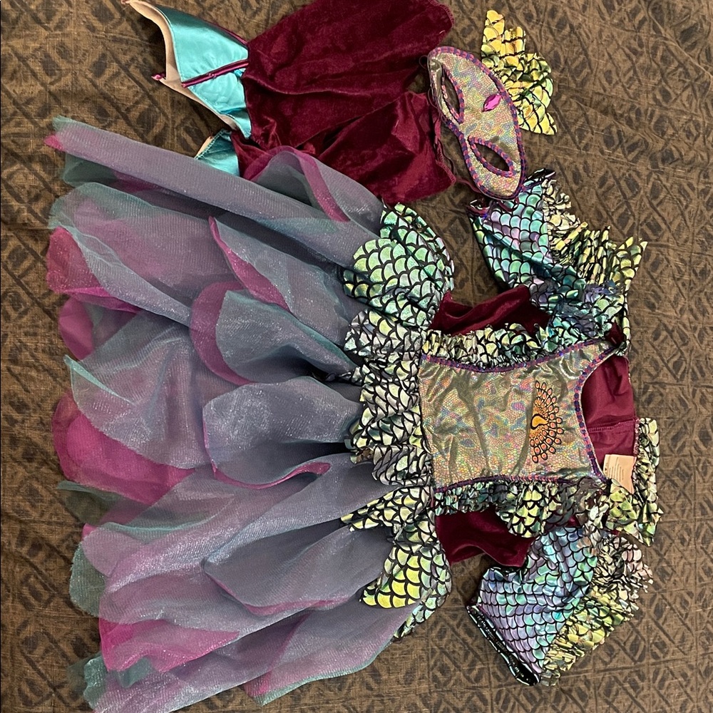 Peacock Kids Costume
